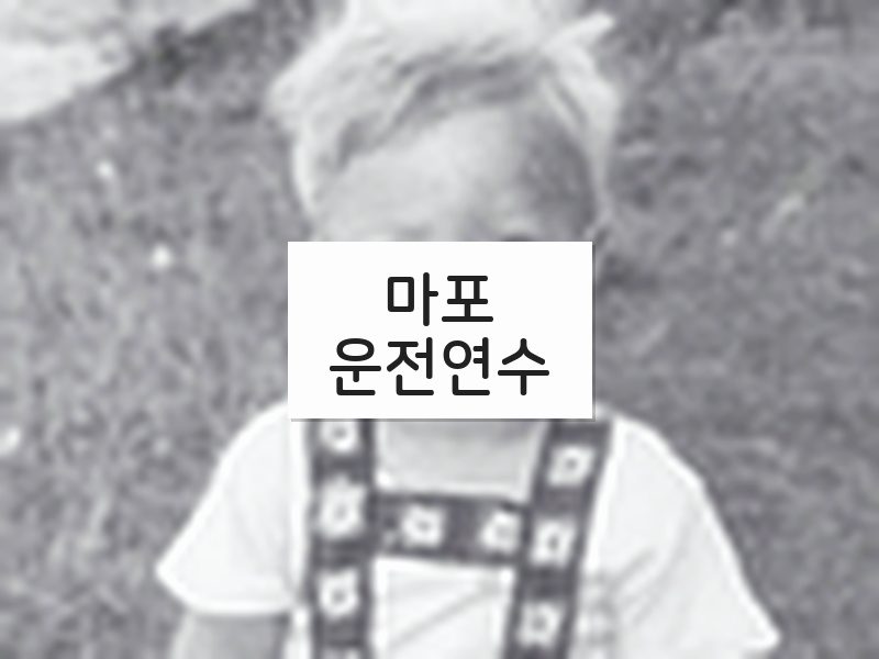 마포운전연수 후기
