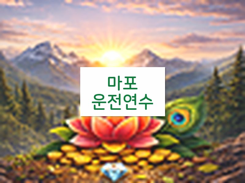 마포운전연수 후기