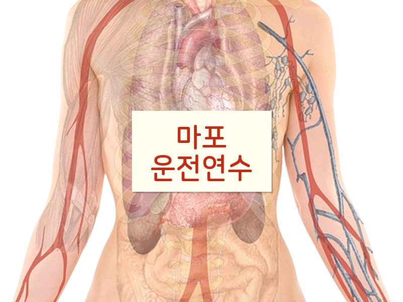마포운전연수 후기