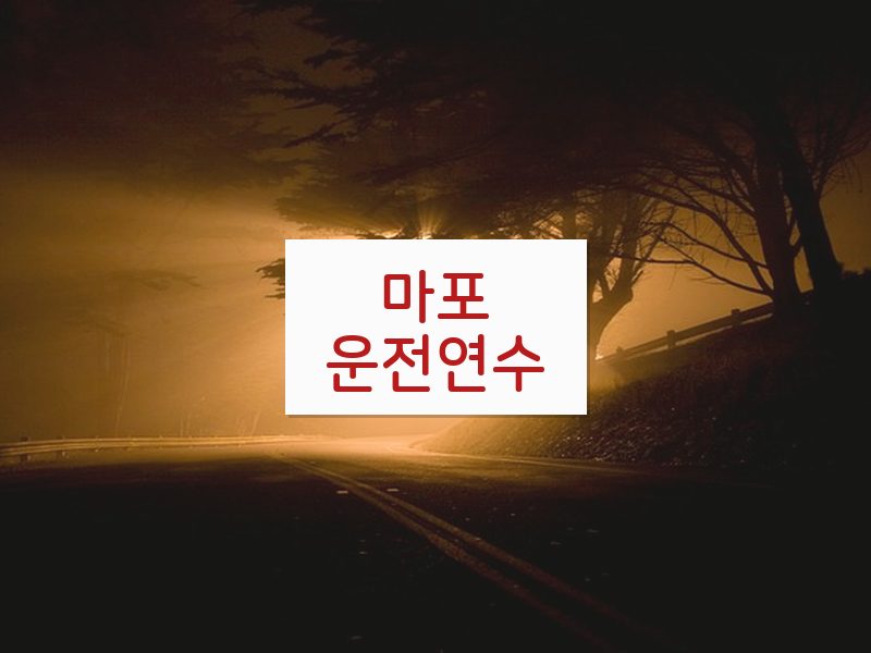 마포운전연수 후기