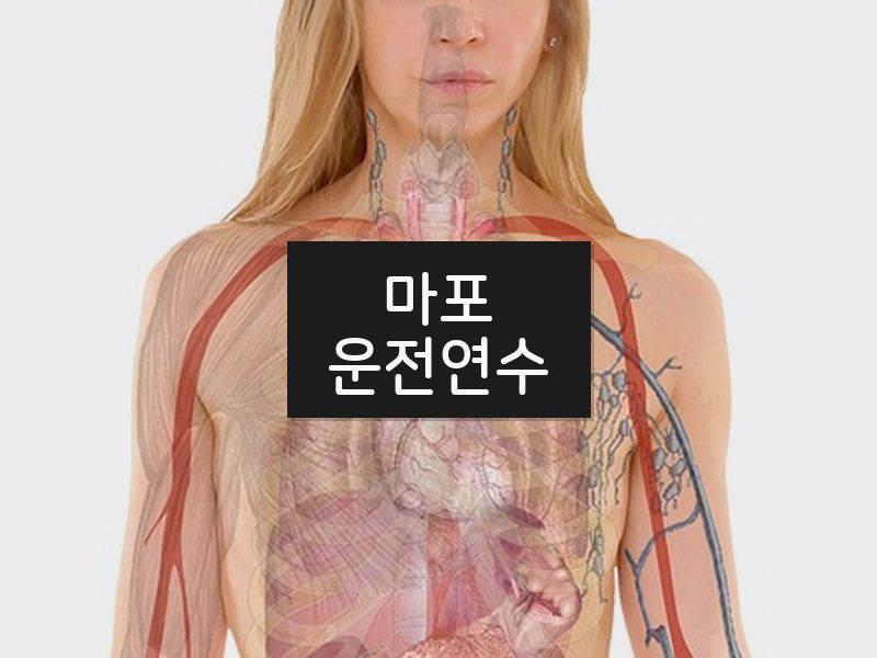 마포운전연수 후기