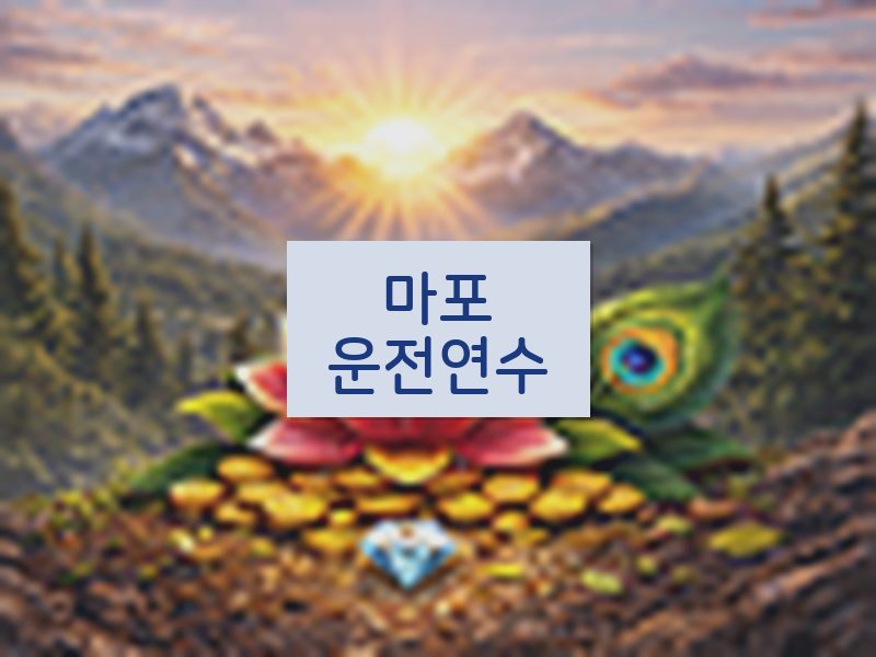 마포운전연수 후기