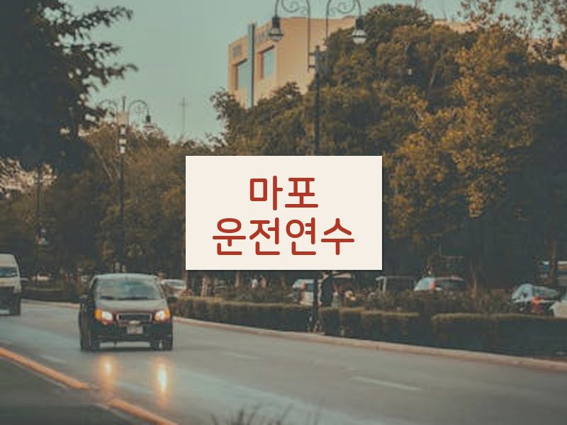 마포운전연수 후기
