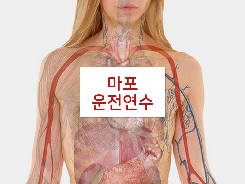 마포운전연수 후기