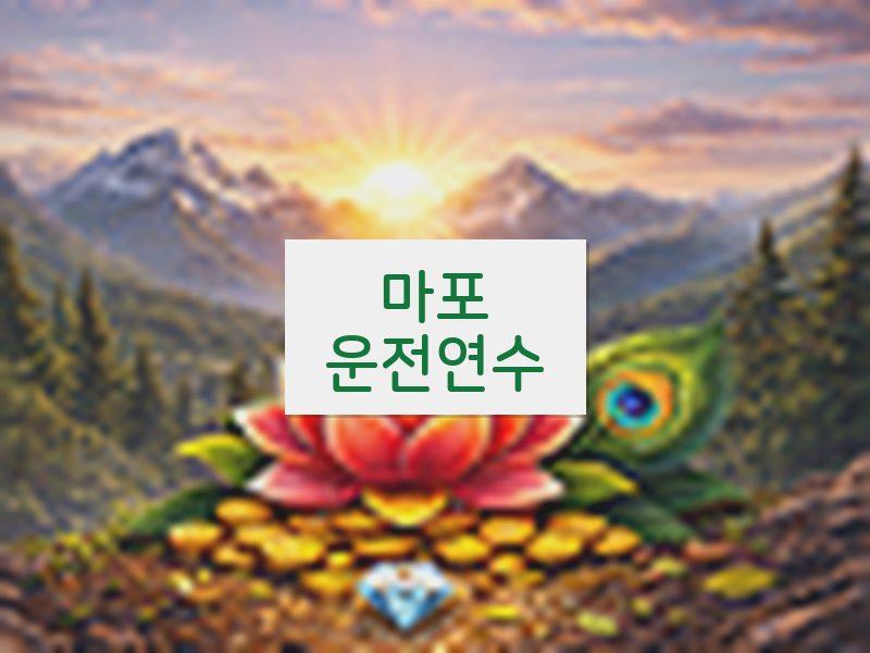 마포운전연수 후기