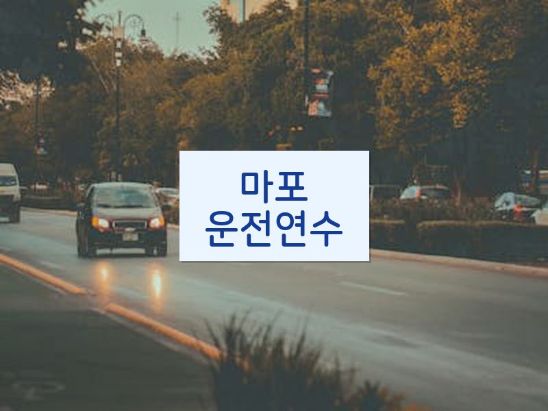 마포운전연수 후기