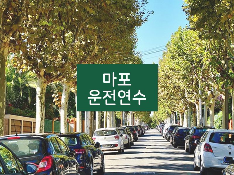 마포운전연수 후기