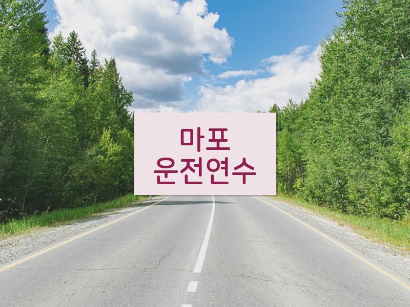 마포운전연수 후기