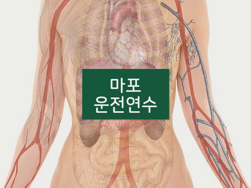 마포운전연수 후기