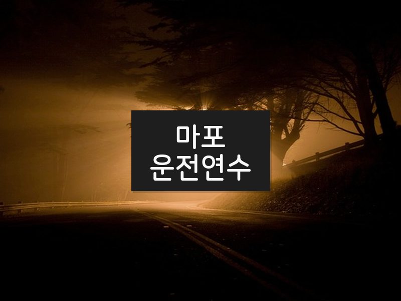 마포운전연수 후기