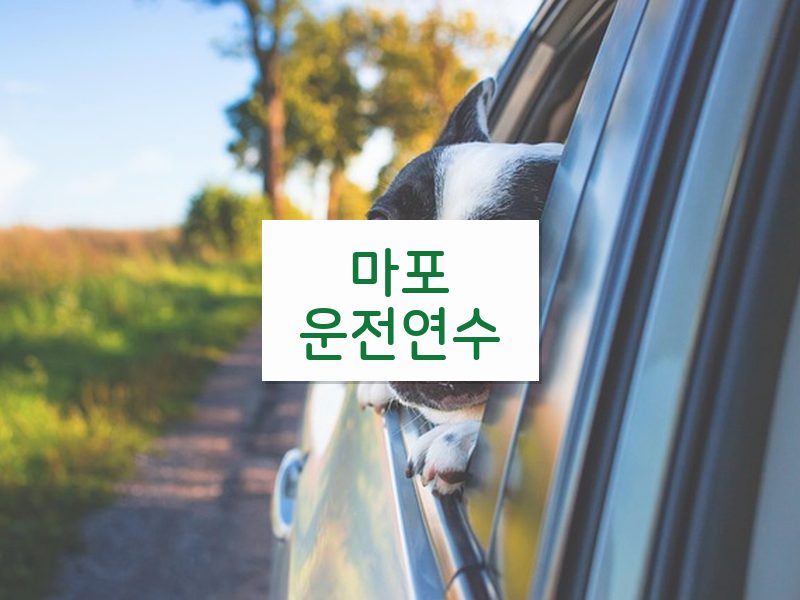 마포운전연수 후기