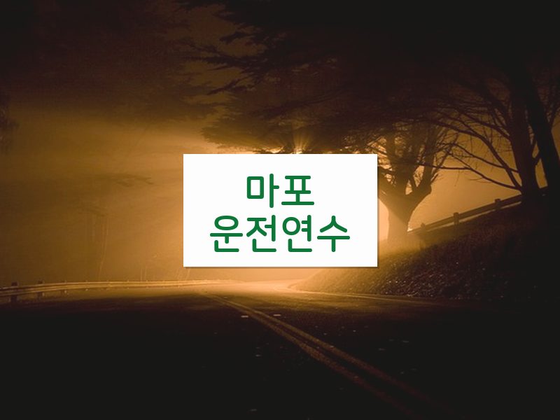 마포운전연수 후기