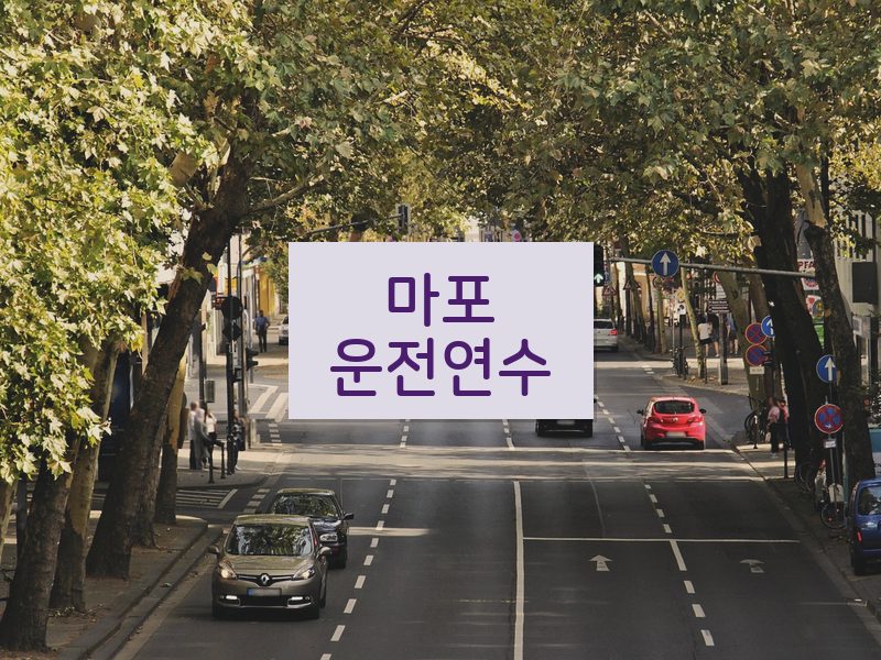 마포운전연수 후기