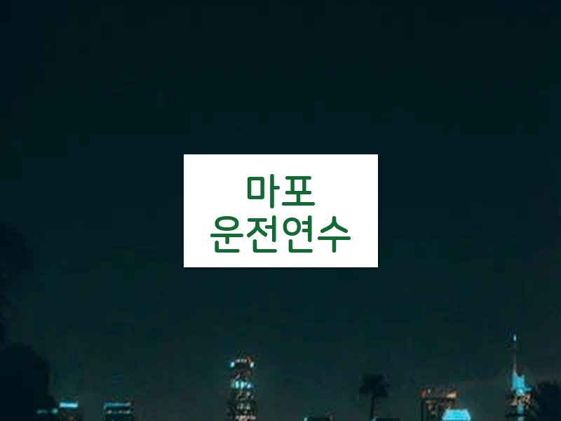 마포운전연수 후기
