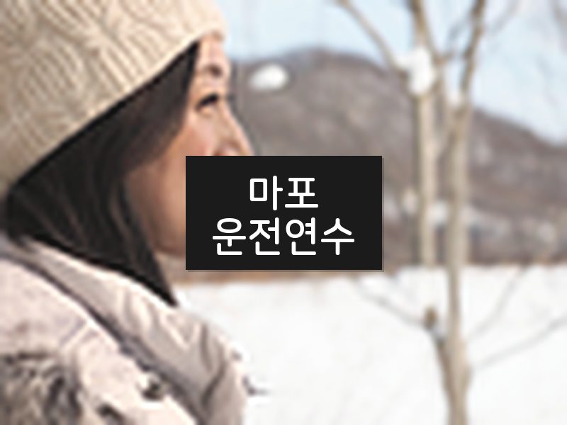 마포운전연수 후기