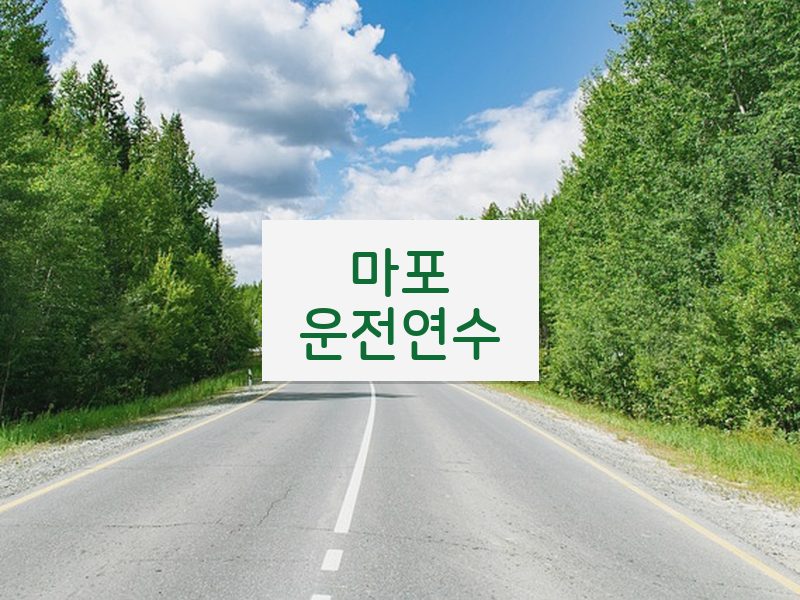 마포운전연수 후기