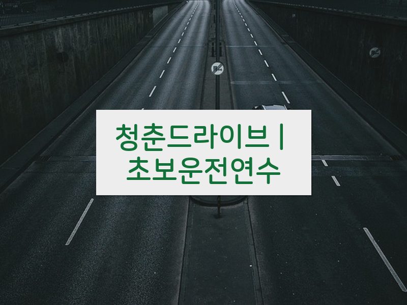 청춘드라이브 | 초보운전연수 후기