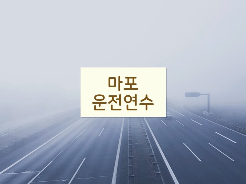 마포운전연수 후기