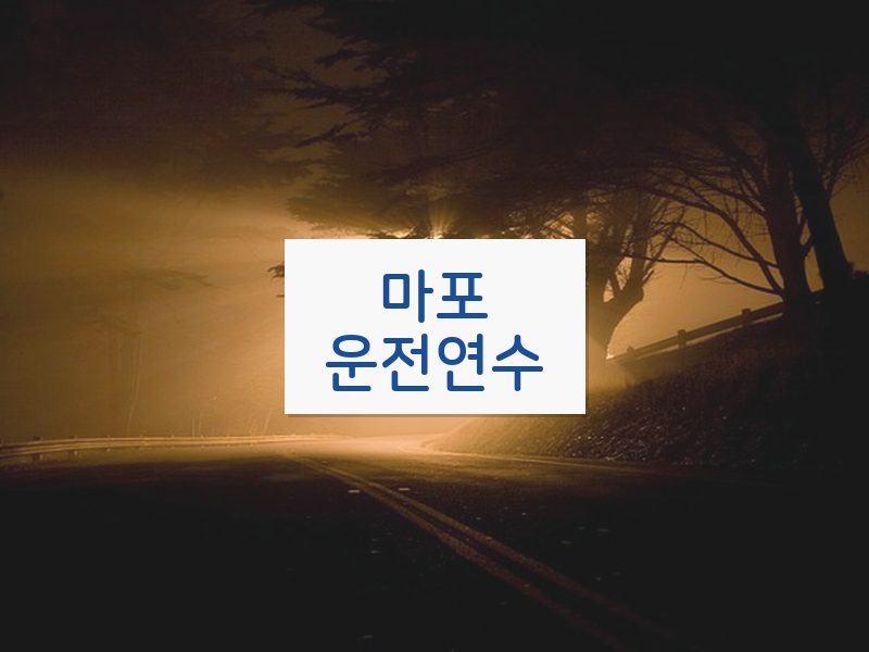 마포운전연수 후기