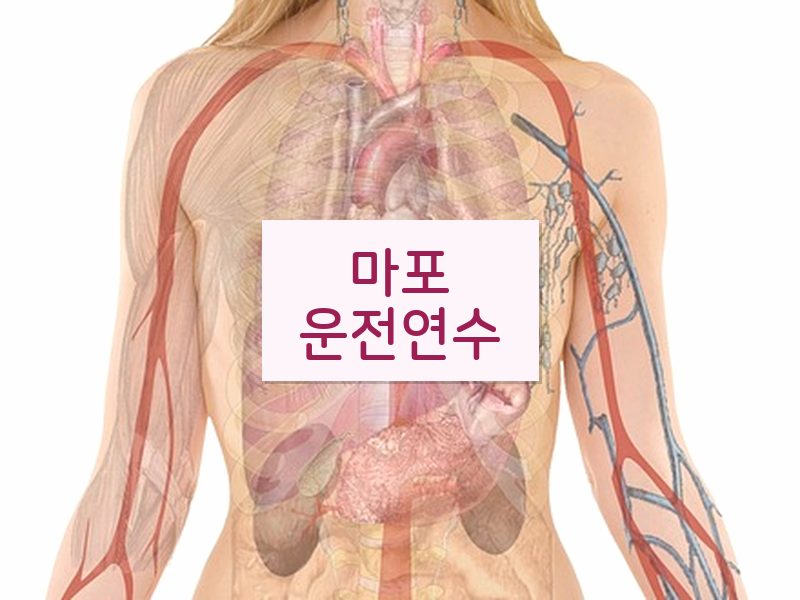 마포운전연수 후기