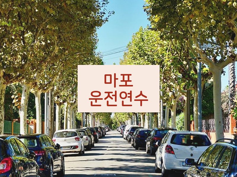 마포운전연수 후기