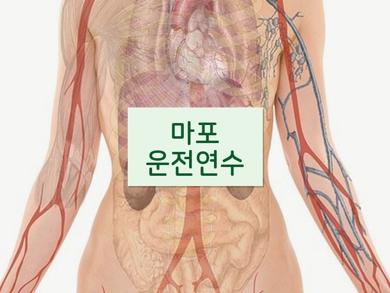 마포운전연수 후기
