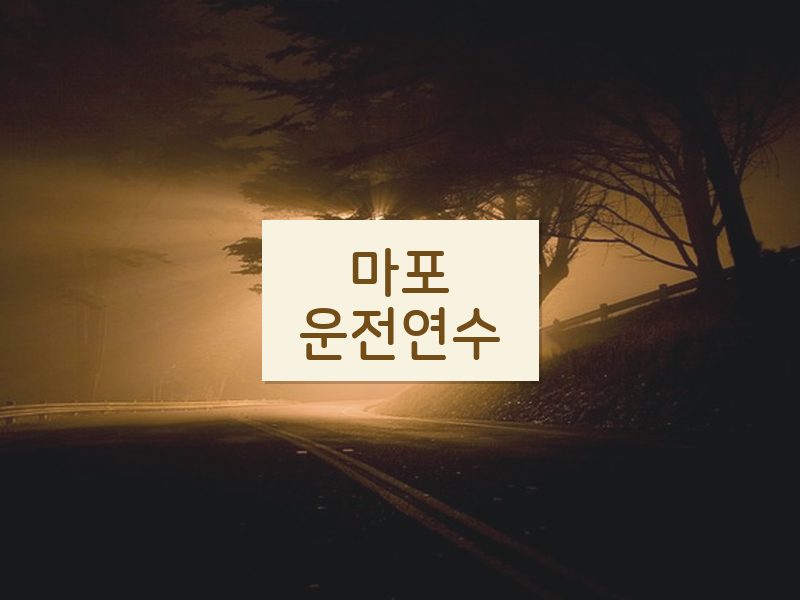 마포운전연수 후기