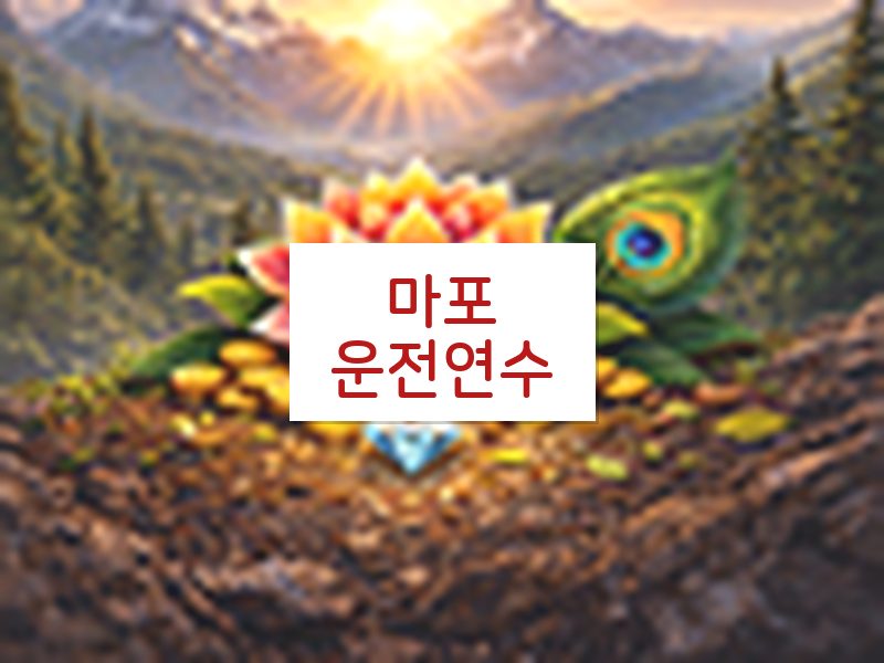마포운전연수 후기