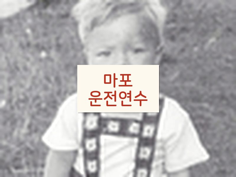 마포운전연수 후기