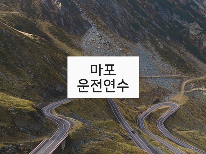 마포운전연수 후기