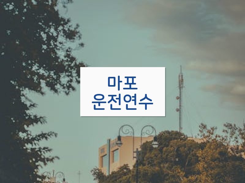 마포운전연수 후기
