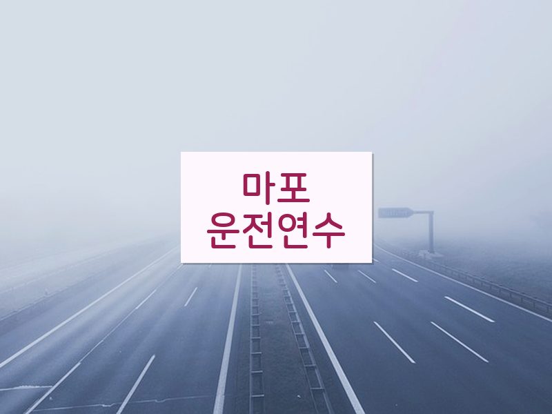 마포운전연수 후기