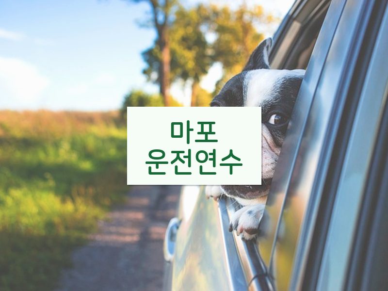 마포운전연수 후기