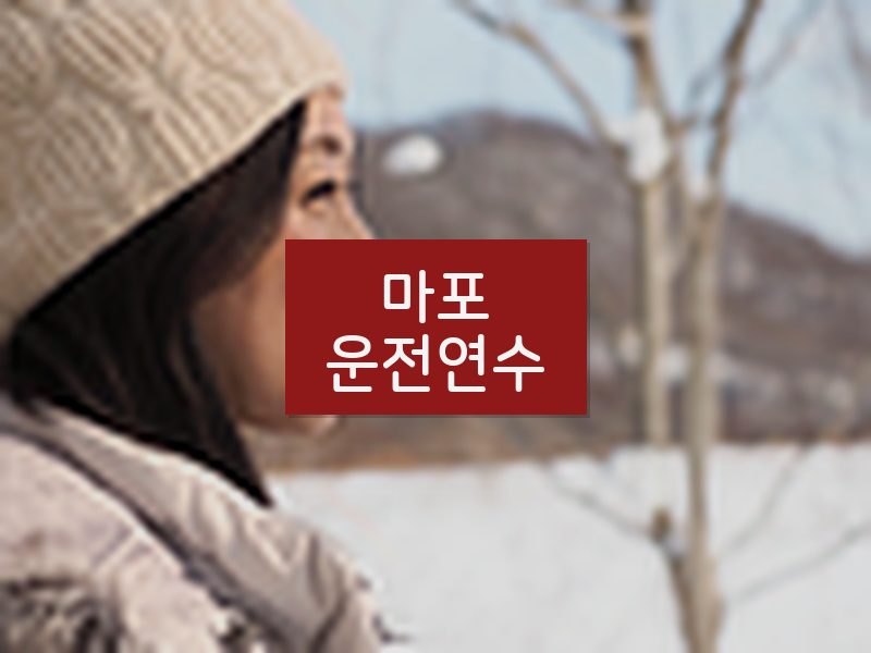 마포운전연수 후기