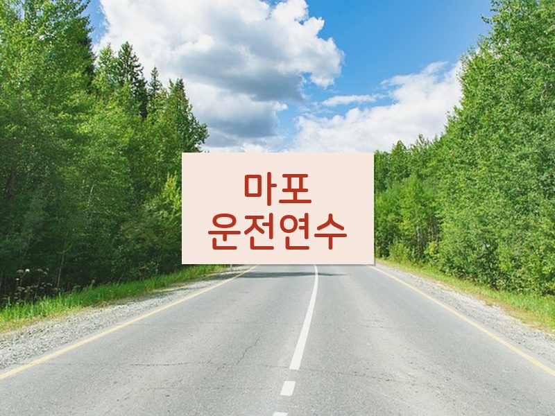 마포운전연수 후기