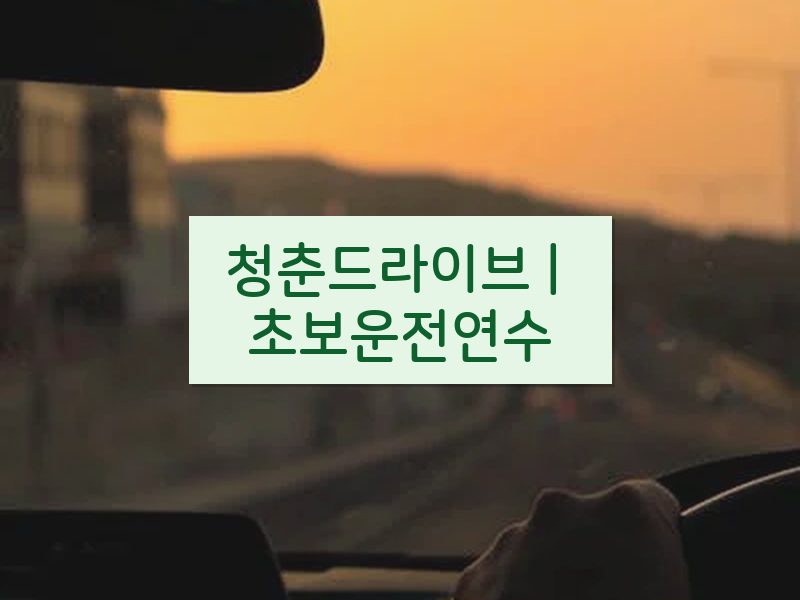 청춘드라이브 | 초보운전연수 후기