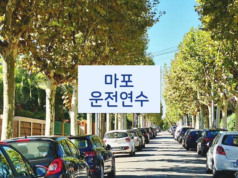 마포운전연수 후기