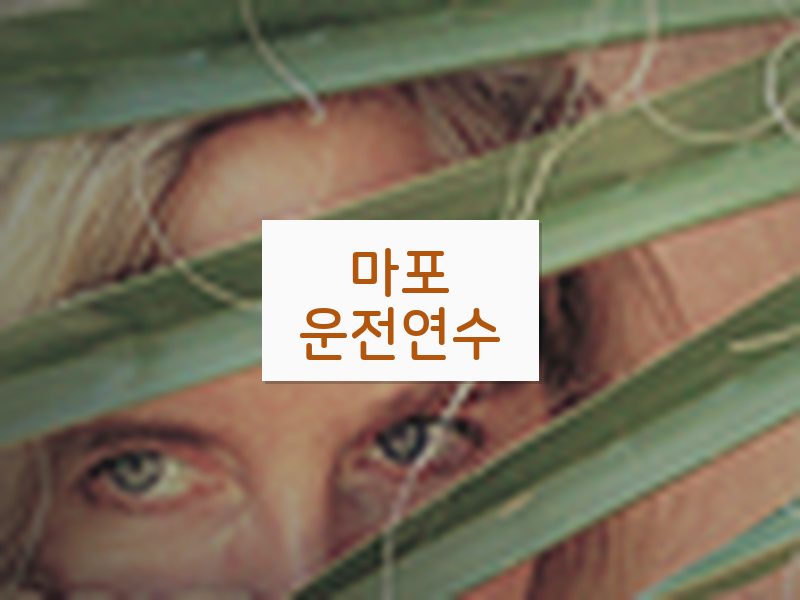 마포운전연수 후기