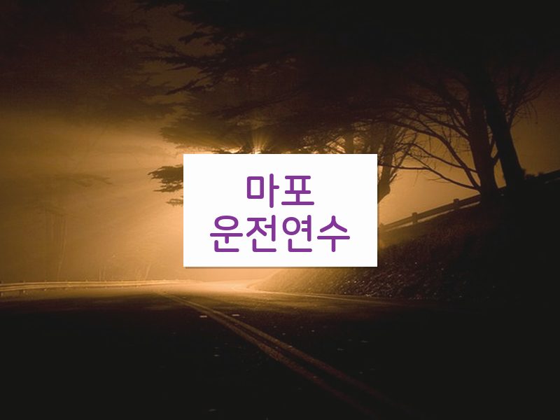 마포운전연수 후기