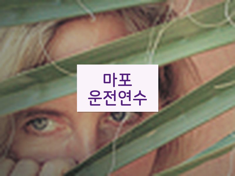마포운전연수 후기