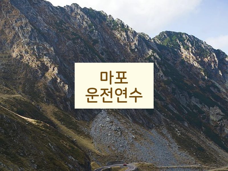 마포운전연수 후기