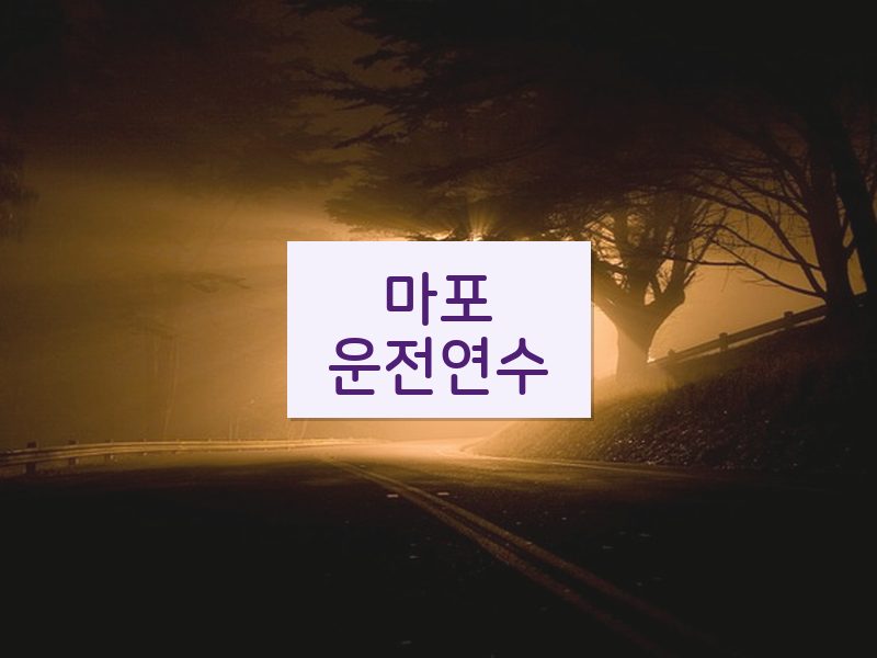 마포운전연수 후기