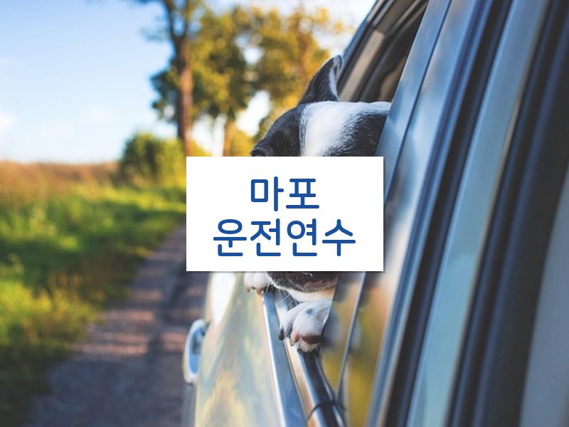 마포운전연수 후기