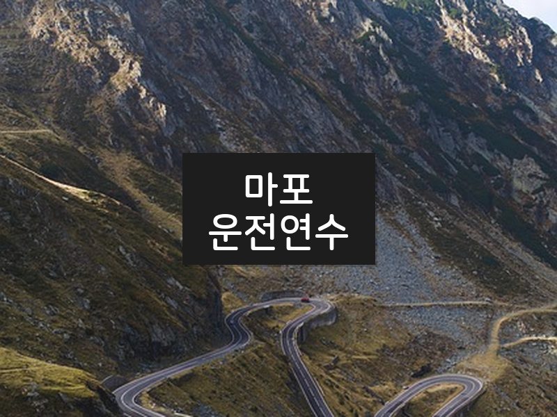 마포운전연수 후기