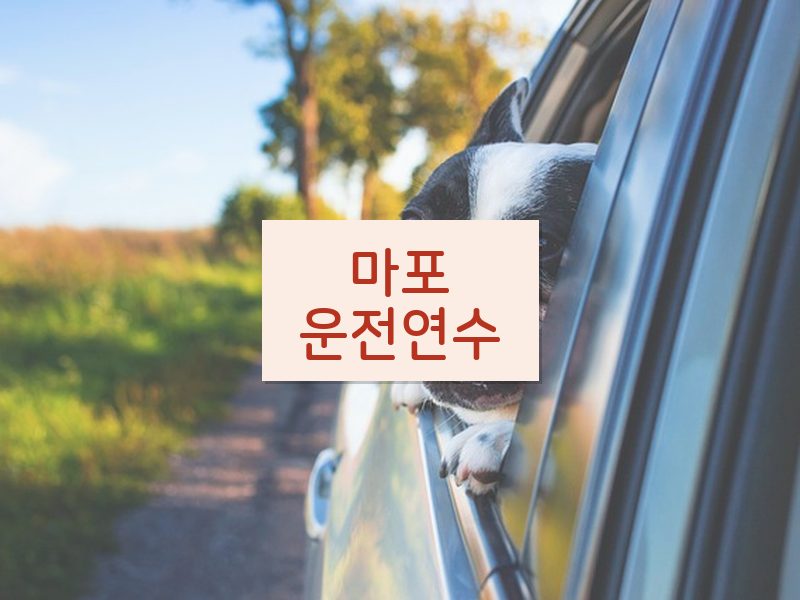 마포운전연수 후기