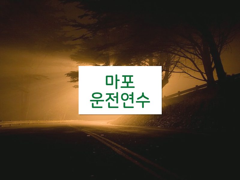 마포운전연수 후기
