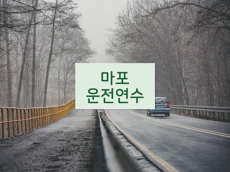 마포운전연수 후기