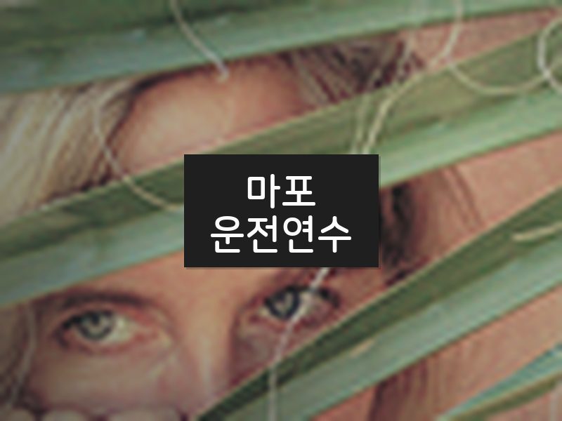 마포운전연수 후기