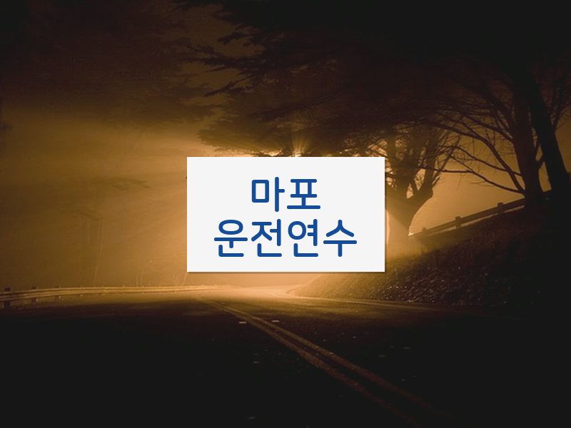 마포운전연수 후기