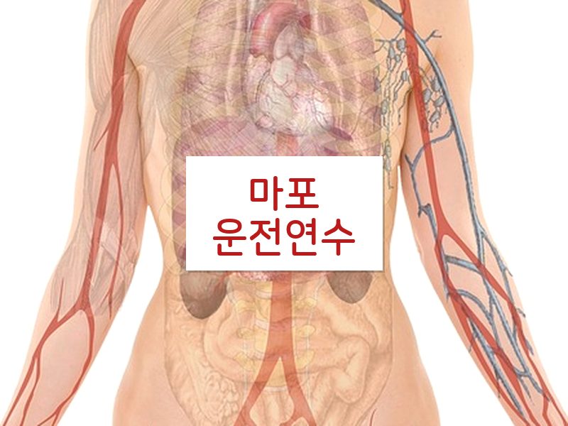 마포운전연수 후기